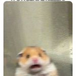 Screaming Hamster | WHEN YOU HEAR A NOISE IN THE MIDDLE OF THE NIGHT AND ASSUME IT'S A SERIAL KILLER. | image tagged in screaming hamster | made w/ Imgflip meme maker