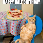 Overstuffed Cat | HAPPY HALF BIRTHDAY | image tagged in overstuffed cat | made w/ Imgflip meme maker
