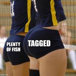 Volleyball Thicccness | TAGGED; PLENTY OF FISH | image tagged in volleyball thicccness | made w/ Imgflip meme maker