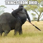things from ohio | THINGS FROM OHIO: | image tagged in big butt gorillaphant,funny memes,funny meme,lol so funny | made w/ Imgflip meme maker