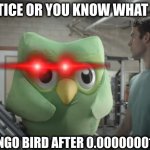 Dulingo Watching | GO PRACTICE OR YOU KNOW WHAT HAPPENS; OH GOD PLEASE NO NO; THE DULINGO BIRD AFTER 0.00000001 SECONDS | image tagged in dulingo watching | made w/ Imgflip meme maker