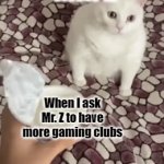 CCA Gaming Club Request | MR. Z; When I ask Mr. Z to have more gaming clubs | image tagged in gifs,cat | made w/ Imgflip video-to-gif maker