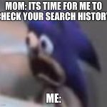 Oh no- | MOM: ITS TIME FOR ME TO CHECK YOUR SEARCH HISTORY. ME: | image tagged in sad screaming sonic | made w/ Imgflip meme maker