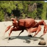 Crab rave GIF Template
