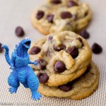 COOOOOOOOOOOOOKIE | image tagged in punny cookies | made w/ Imgflip meme maker