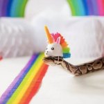 snake rainbow unicorn head meme