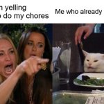 Woman Yelling At Cat Meme | My mom yelling at me to do my chores; Me who already did them | image tagged in memes,woman yelling at cat | made w/ Imgflip meme maker