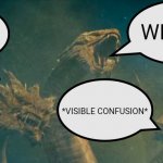 King Ghidorah can't comprehend what he's seeing | WTF!? WHAT!? *VISIBLE CONFUSION* | image tagged in ghidorah thoughts | made w/ Imgflip meme maker
