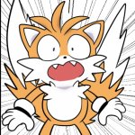 tails yell