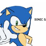 sonic says