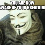 The Anonymous Cat | YOU ARE NOW AWARE OF YOUR BREATHING | image tagged in the anonymous cat | made w/ Imgflip meme maker