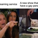 All the shows need a gay person now | Every streaming service; A new show that doesn’t have a gay person in it | image tagged in memes,woman yelling at cat | made w/ Imgflip meme maker