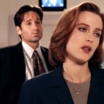 Mulder Stop