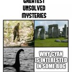 rainbow friends chapter 2 meme i guess | WHY CYAN IS INTERESTED IN SOME BUG | image tagged in unsolved mysteries | made w/ Imgflip meme maker