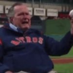Bush Baseball GIF Template