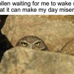I hate pollen | Pollen waiting for me to wake up so that it can make my day miserable: | image tagged in lurking,memes,funny,true story,relatable memes,pollen | made w/ Imgflip meme maker