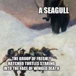 The Circle of life | A SEAGULL; THE GROUP OF FRESHLY HATCHED TURTLES STARING INTO THE FACE OF WINGED DEATH | image tagged in flight before the mammoth,animals | made w/ Imgflip meme maker