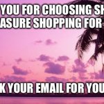 Endless Summer | THANK YOU FOR CHOOSING SHIPT! IT WAS MY PLEASURE SHOPPING FOR YOU TODAY. BE SURE TO CHECK YOUR EMAIL FOR YOUR FINAL RECEIPT. | image tagged in endless summer | made w/ Imgflip meme maker