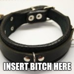 bdsm collar | INSERT BITCH HERE | image tagged in bdsm collar | made w/ Imgflip meme maker