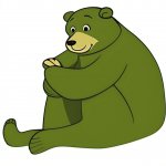 Yogi bear groyper