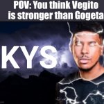 Gogeta is strong, fight me | POV: You think Vegito is stronger than Gogeta; KYS | image tagged in k wodr blank | made w/ Imgflip meme maker