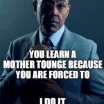 we ain't the same | WE ARE NOT THE SAME; YOU LEARN A MOTHER TOUNGE BECAUSE YOU ARE FORCED TO; I DO IT BECAUSE I WANT TO | image tagged in gus fring we are not the same | made w/ Imgflip meme maker