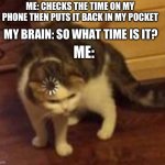 hmm… | ME: CHECKS THE TIME ON MY PHONE THEN PUTS IT BACK IN MY POCKET; MY BRAIN: SO WHAT TIME IS IT? ME: | image tagged in thinking cat,relatable,funny,memes | made w/ Imgflip meme maker