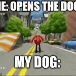 Ggahsna | ME: OPENS THE DOOR; MY DOG: | image tagged in gifs,memes,funny memes,funny,dank memes,dank | made w/ Imgflip video-to-gif maker