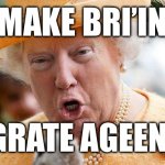 If Trump was Bri’ish | MAKE BRI’IN; GRATE AGEEN! | image tagged in donald trump photoshopped onto queen elizabeth ii | made w/ Imgflip meme maker