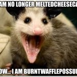 we hail the wafflepossum | I AM NO LONGER MELTEDCHEESECAT; NOW... I AM BURNTWAFFLEPOSSUM! | image tagged in opossum,possum,well miss you cheesecat,cheesecat,wafflepossum | made w/ Imgflip meme maker
