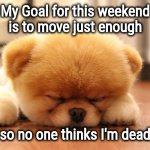 Just a few hours to go | My Goal for this weekend
is to move just enough; so no one thinks I'm dead | image tagged in sleeping dog,lazy,sleeping beauty,leave me alone,rest in peace,wake me when | made w/ Imgflip meme maker