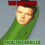 You died | YOU HAVE BEEN; PICKLERICKROLLED | image tagged in pickle rick | made w/ Imgflip meme maker
