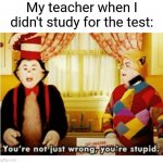 School memes | My teacher when I didn't study for the test: | image tagged in you're not just wrong your stupid,memes,school,teachers | made w/ Imgflip meme maker