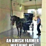 carwash | AN AMISH FARMER 
WASHING HIS 
CLASSIC MUSTANG | image tagged in horse,carwash,car wash,amish | made w/ Imgflip meme maker