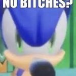 sonic no bitches Meme Generator - Imgflip