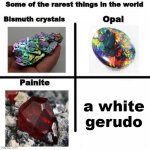 seriously | a white gerudo | image tagged in some of the rarest things in the world,the legend of zelda breath of the wild | made w/ Imgflip meme maker