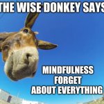 Wise Donkey | MINDFULNESS
FORGET ABOUT EVERYTHING | image tagged in wise donkey says | made w/ Imgflip meme maker