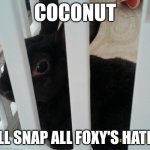 Coconut | COCONUT; WILL SNAP ALL FOXY'S HATERS | image tagged in coconut | made w/ Imgflip meme maker