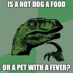 Philosoraptor | IS A HOT DOG A FOOD; OR A PET WITH A FEVER? | image tagged in memes,philosoraptor | made w/ Imgflip meme maker
