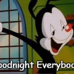 Yakko Goodnight