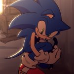 sonic cat by chaosrice meme