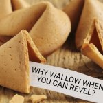 The cookie has a point | WHY WALLOW WHEN
YOU CAN REVEL? | image tagged in chinese fortune cookie | made w/ Imgflip meme maker