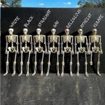 skeleton's are alike