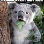 Then what is her name????? | ME DISCOVERING THAT MY MOM'S NAME ISN'T MOM | image tagged in memes,relatable memes,funny memes | made w/ Imgflip meme maker