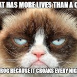 Daily Bad Dad Joke 06/07/2023 | WHAT HAS MORE LIVES THAN A CAT? A FROG BECAUSE IT CROAKS EVERY NIGHT. | image tagged in memes,grumpy cat not amused,grumpy cat | made w/ Imgflip meme maker