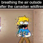 air quality: 277 ☠️ | breathing the air outside after the canadian wildfires | image tagged in gifs,memes,funny,so true memes | made w/ Imgflip video-to-gif maker