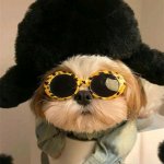 Funny hat
