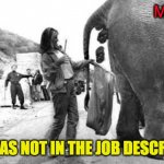 Elephant Poop Bad Day | My boss; THIS WAS NOT IN THE JOB DESCRIPTION | image tagged in elephant poop bad day | made w/ Imgflip meme maker