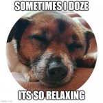 Dog sleeping | SOMETIMES I DOZE; ITS SO RELAXING | image tagged in contented | made w/ Imgflip meme maker