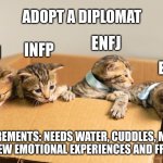 Adopt a Diplomat | ADOPT A DIPLOMAT; ENFJ; INFP; INFJ; ENFP; REQUIREMENTS: NEEDS WATER, CUDDLES, MENTAL PATS, NEW EMOTIONAL EXPERIENCES AND FREEDOM | image tagged in cats in a box,myers briggs,mbti,personality,enfp,infj | made w/ Imgflip meme maker